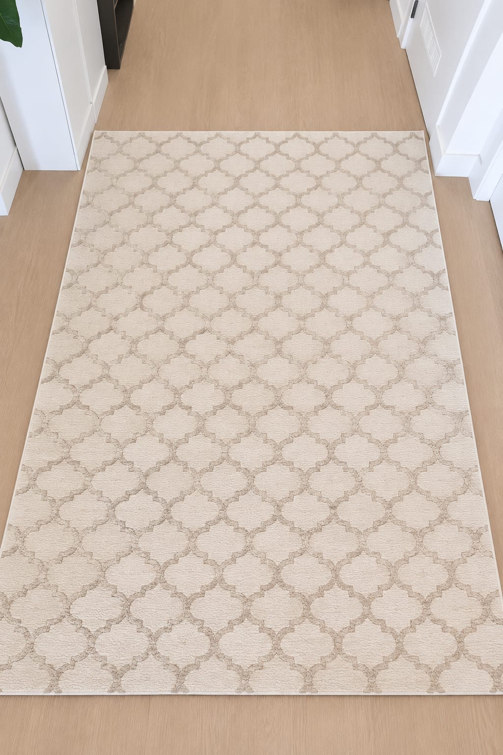 Rug
